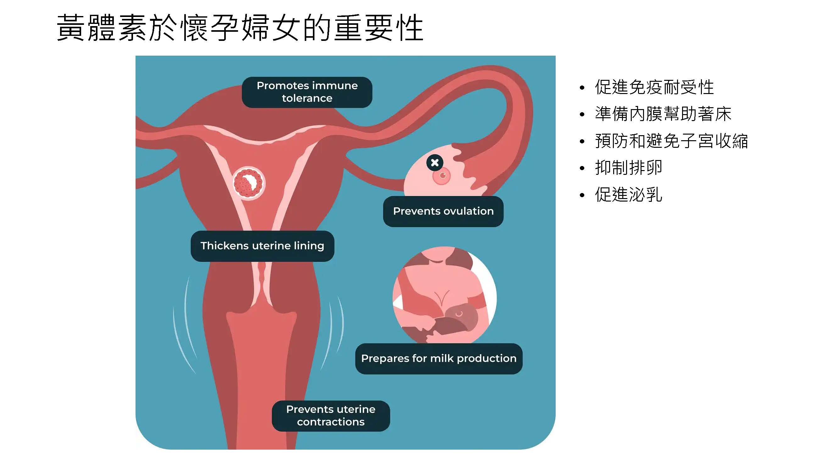 不孕症婦女黃體功能不足的一個可能原因