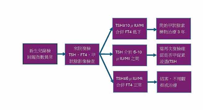 認識先天性甲狀腺低下