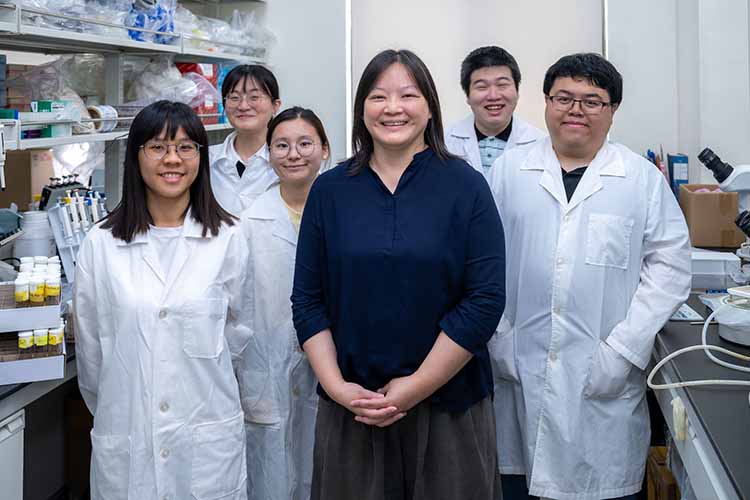 移除引發巴金森氏症的毒蛋白路徑，可以避免多巴胺神經元死亡