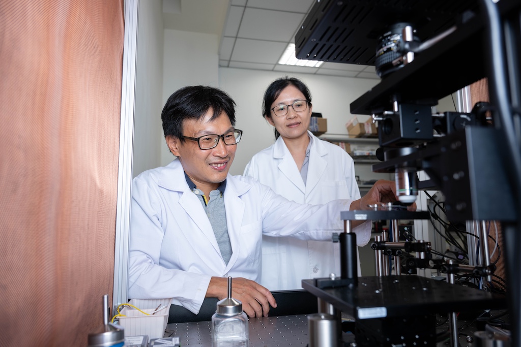 神經細胞也會「揪團組隊」？科學家首次用顯微鏡觀察到腦神經細胞的群體動態