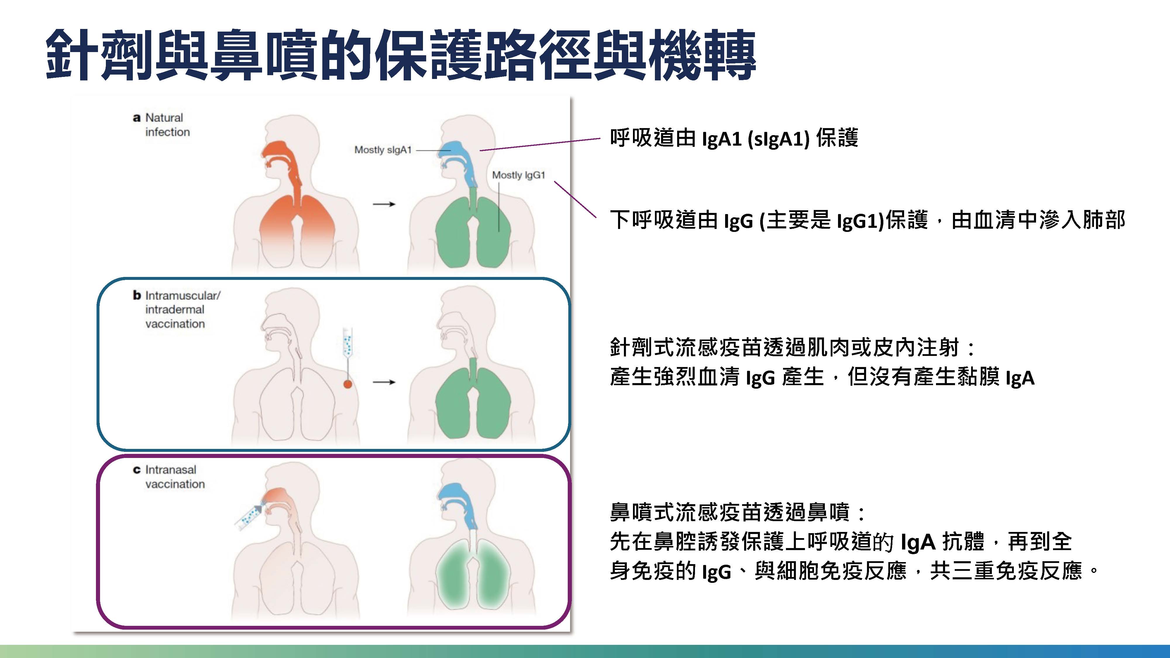 免挨針的鼻噴式流感疫苗是兒少預防流感的新選擇