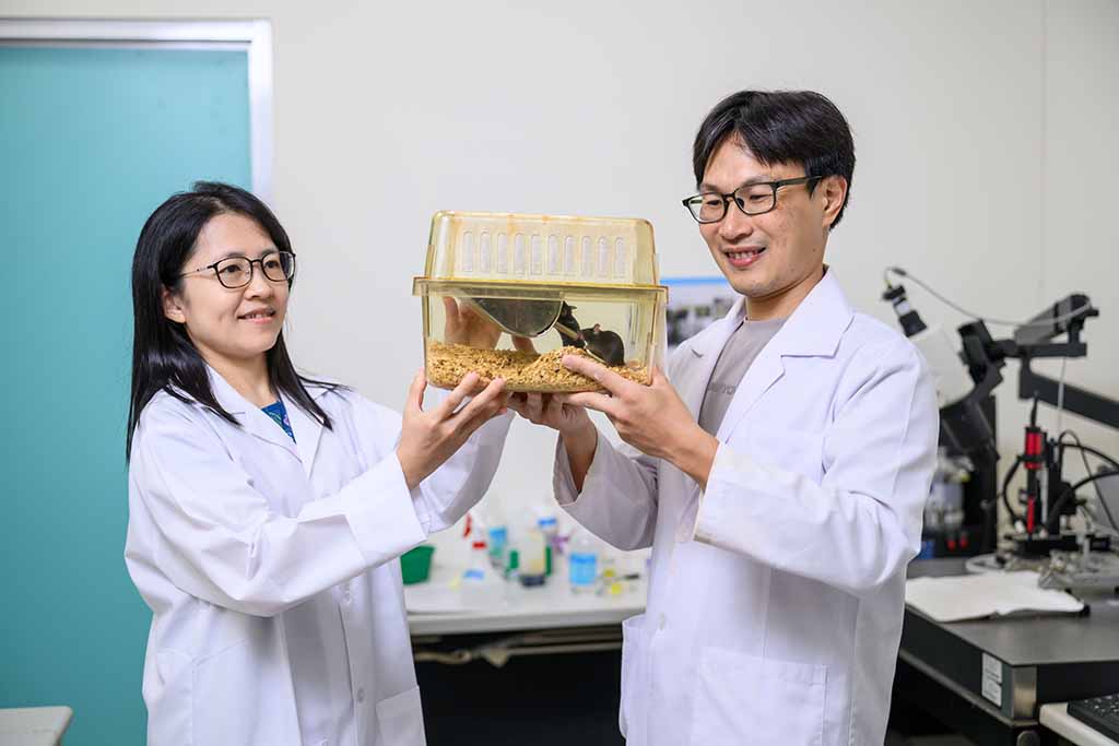 追蹤大腦內中閃爍的星星，科學家精準定位神經活動訊號