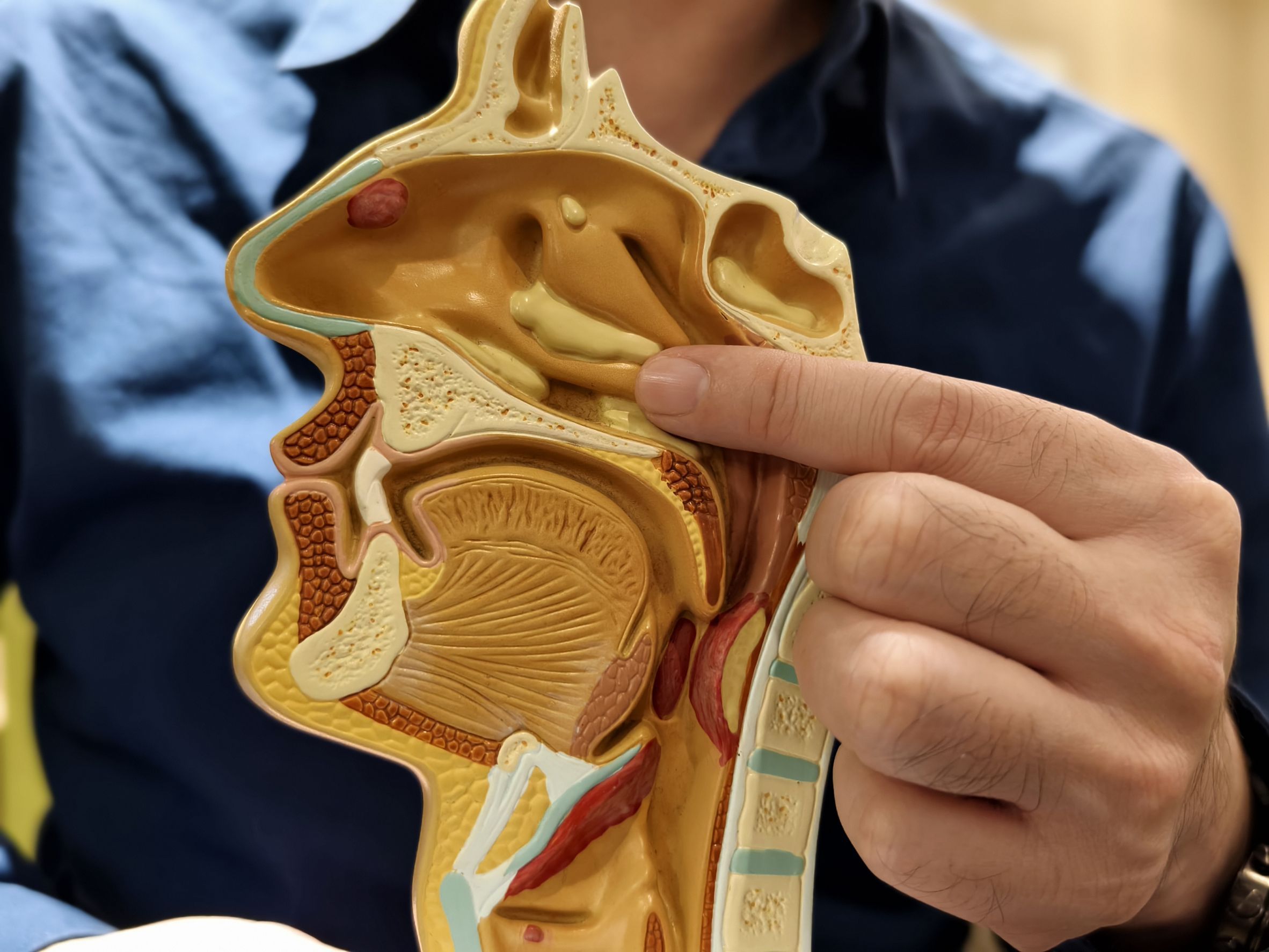 鼻塞吸不到空氣？談空鼻症