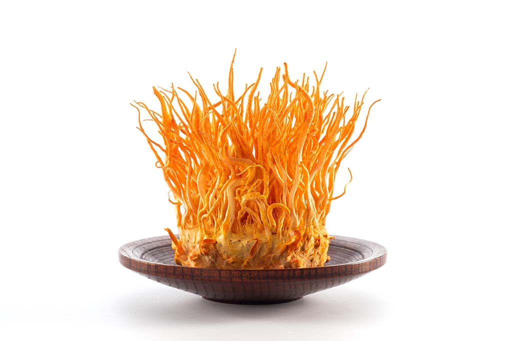 花蓮慈濟醫學中心與國防醫學大學參加「銀杏果黃金蟲草」研究