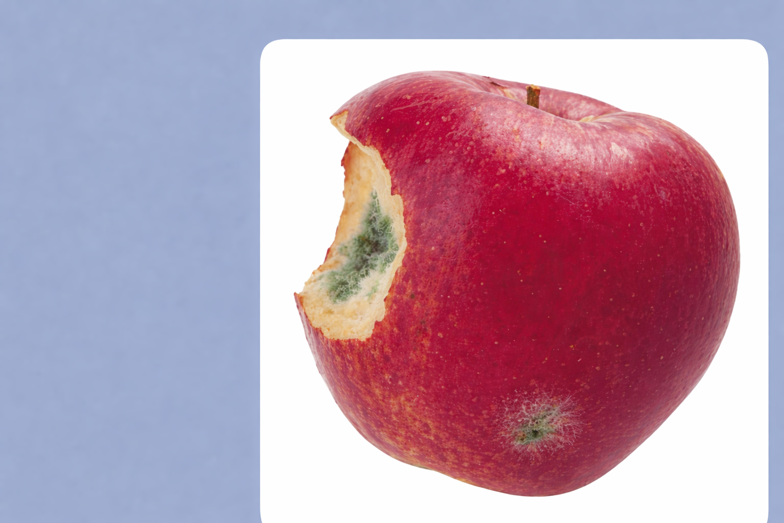 食物發霉切掉就好？