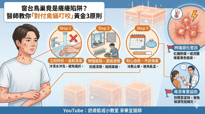 窗台鳥巢是「癢癢陷阱」？皮膚科醫師呼籲：對付禽蟎叮咬的 3 原則